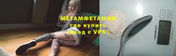 прущие грибы Кинешма