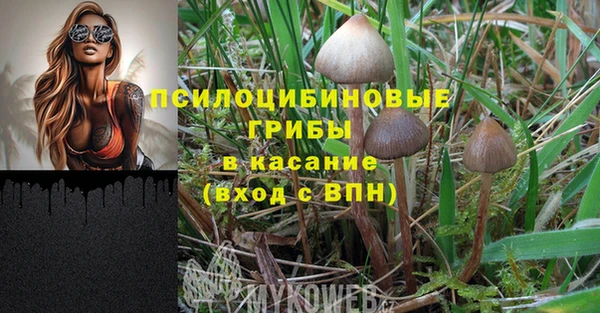прущие грибы Кинешма