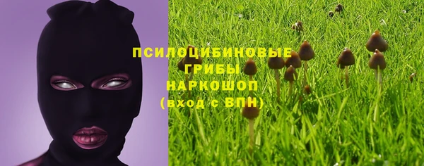 СК Кодинск