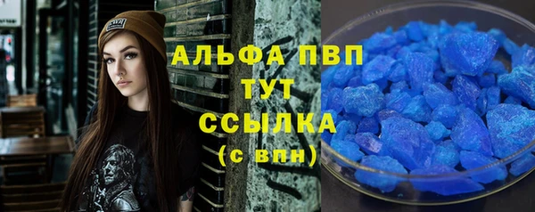 прущие грибы Кинешма